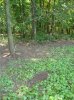 DSC01127.jpg