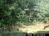bandicam 2013-09-03 17-58-00-244.jpg
