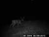 bandicam 2013-09-03 17-57-21-475.jpg