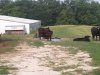 20130808_085559.jpg
