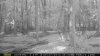 MOULTRIE_9_7_13 015.jpg