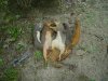 DSC01583.jpg