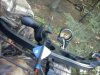 bow.jpg