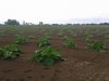 20130729_113427.jpg