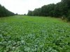 20130902_120108_resized.jpg