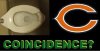 bears-coincidence.jpg