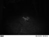 Trail cam 9-1-12 017.jpg