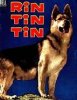 Rin Tin Tin.jpg