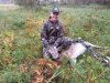 deer3.jpg