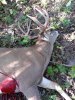 Deb Barbwire Buck Oct 9 2013 005.jpg