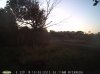 Doe (122).jpg