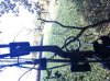 deer_3.jpg