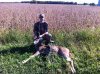 deer_1.jpg