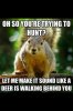 squirrel.jpg