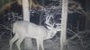 20130825_085051.jpg