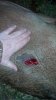 2013-10-22_18-32-58_487.jpg