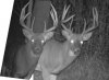 samebuck.jpg