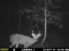 Buck (46).jpg