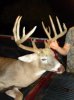 Bowhunting.com profile pic.jpg