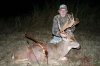 Deer19.jpg