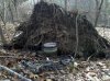 IMG_20101202_104204.jpg