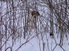IMG_0476.jpg