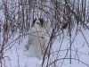IMG_0474.jpg