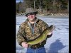 28inch_3.5lb. Pickerel_email.jpg