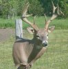 South_Dakota_Whitetail156.jpg