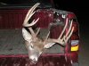 Southdakotawhitetail_173.jpg