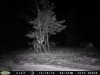 dec.food plot 015.jpg