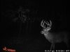 dreambuck2011 079.jpg