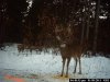 jan11buck 184.jpg