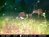 spring food plot 140.jpg