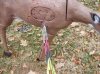 55yardgroup..jpg