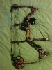 loaded up bow 002.jpg