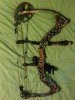 loaded up bow 004.jpg