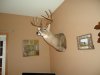 BUCK MOUNT 009.jpg