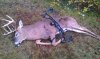 2013 archery buck..jpg