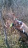 2013 archery buck2..jpg