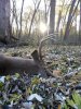 Deb Hunting Nov 9 2013 228.jpg