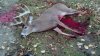 IMG_20131110_065706_452.jpg