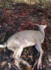 Deb Hunting Nov 9 2013 206.jpg