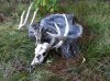 personal pics 431.jpg
