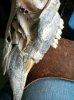 Deb Skull Carving 2013 010.jpg