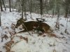 20131126_081505.jpg