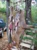 100_1662.jpg