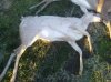 IMG_20131130_072531.jpg