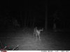11-13-2013 Cemetary Ridge.jpg