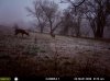 hunting 031.jpg